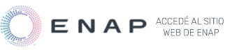 Web ENAP Chile